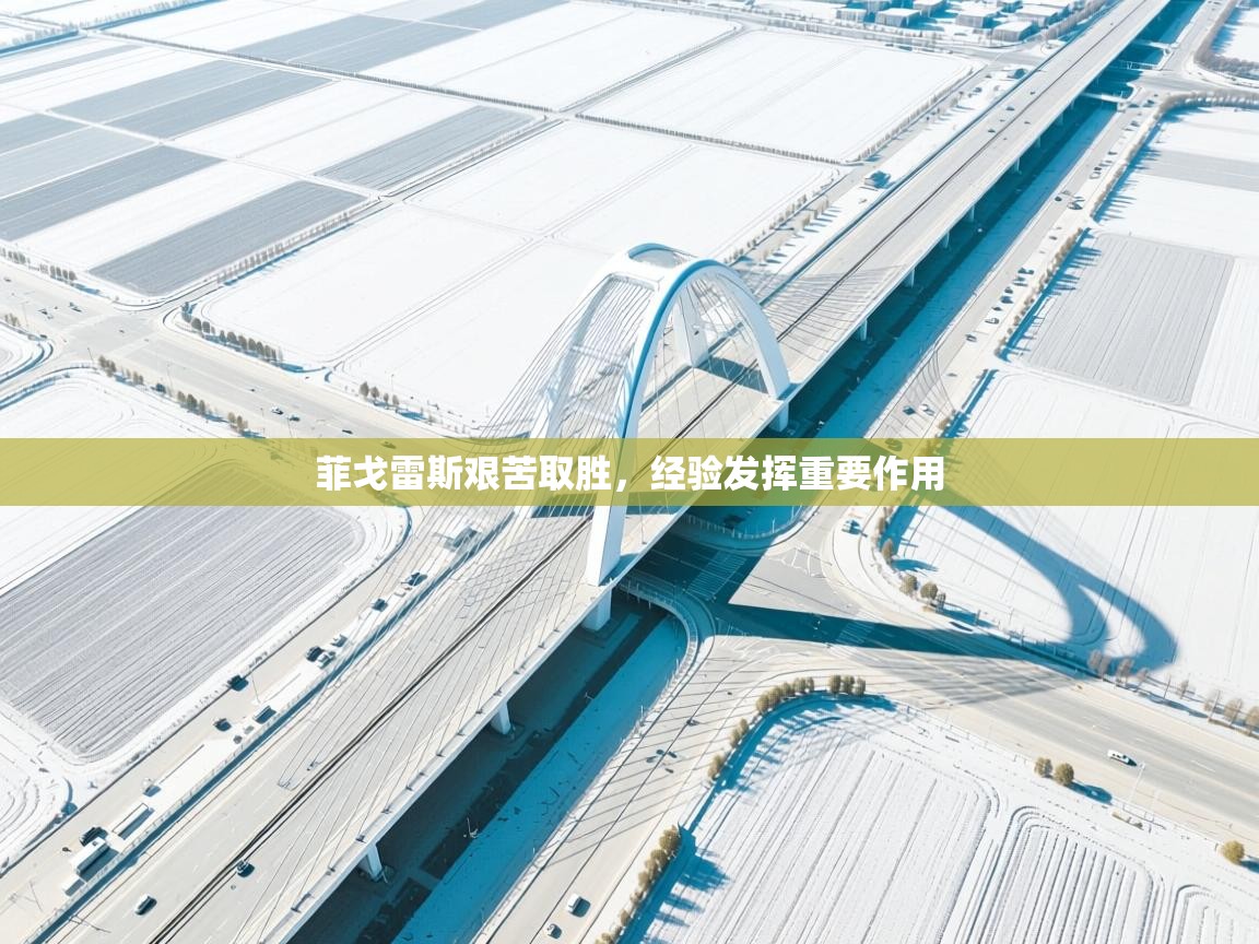 菲戈雷斯艰苦取胜,经验发挥重要作用 第1张