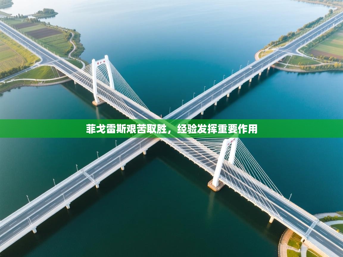 菲戈雷斯艰苦取胜,经验发挥重要作用 第2张