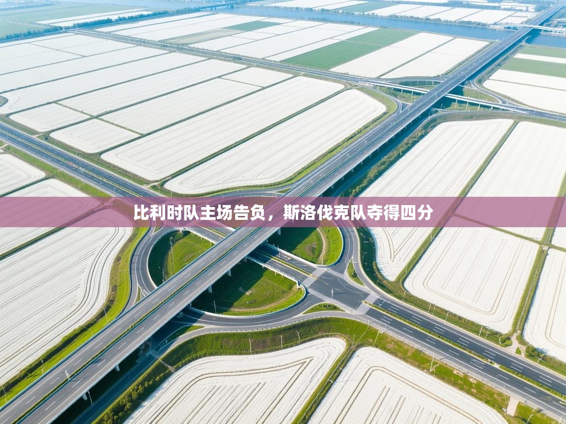 比利时队主场告负，斯洛伐克队夺得四分  第1张