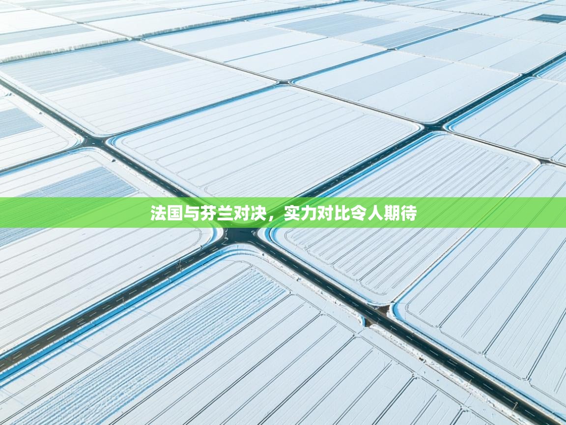 法国与芬兰对决，实力对比令人期待  第1张