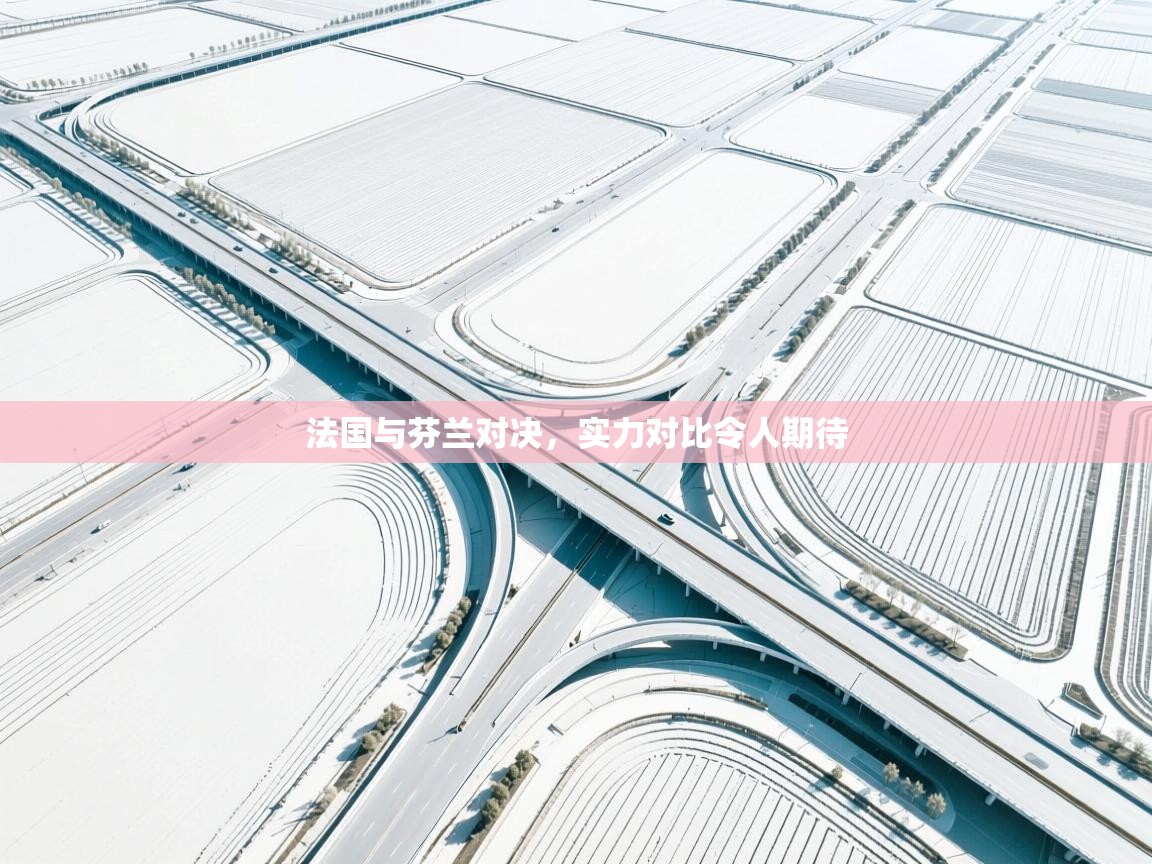 法国与芬兰对决，实力对比令人期待  第2张