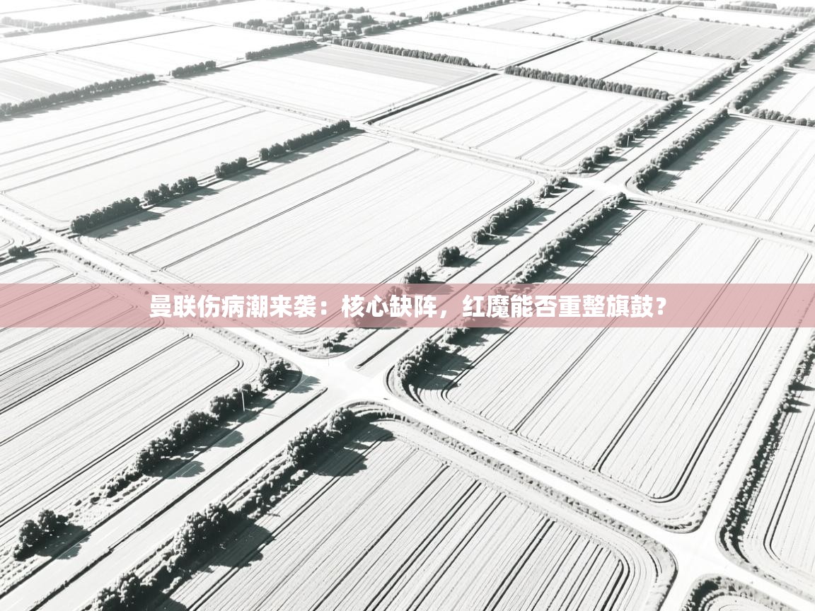 曼联伤病潮来袭：核心缺阵，红魔能否重整旗鼓？  第2张