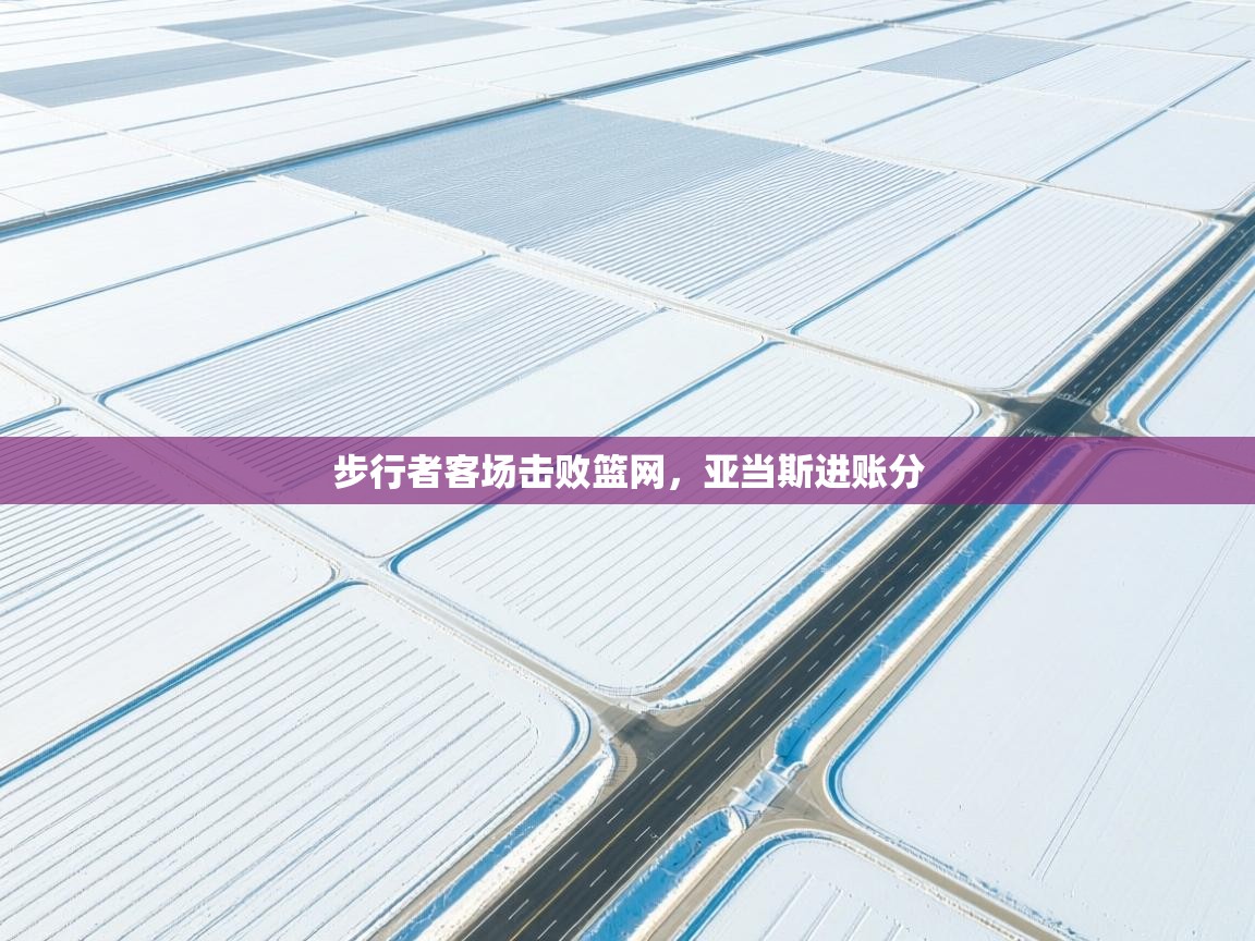 步行者客场击败篮网，亚当斯进账分  第1张