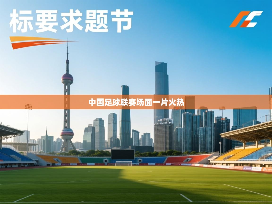 中国足球联赛场面一片火热  第2张