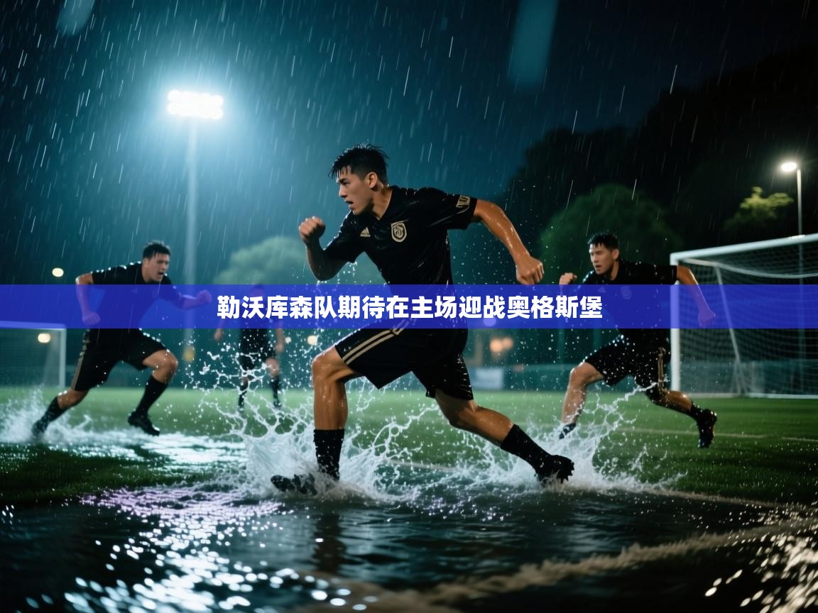 勒沃库森队期待在主场迎战奥格斯堡  第2张