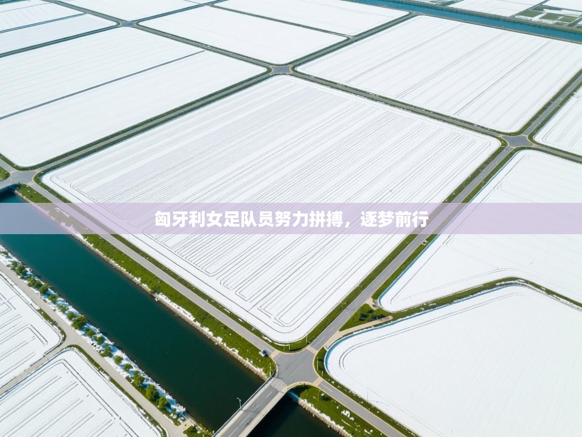 匈牙利女足队员努力拼搏，逐梦前行  第2张