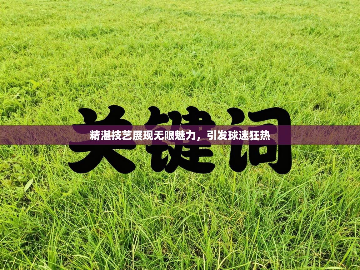 精湛技艺展现无限魅力,引发球迷狂热 第1张