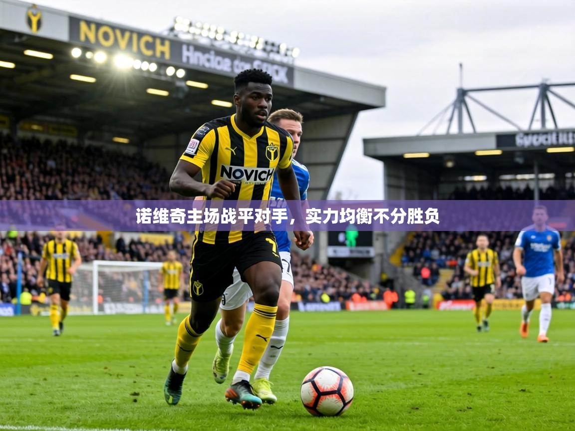 诺维奇主场战平对手,实力均衡不分胜负 第1张